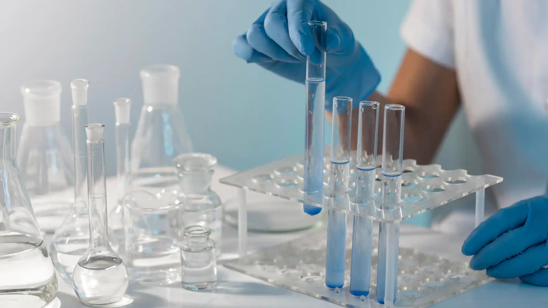 Búsqueda de Donantes